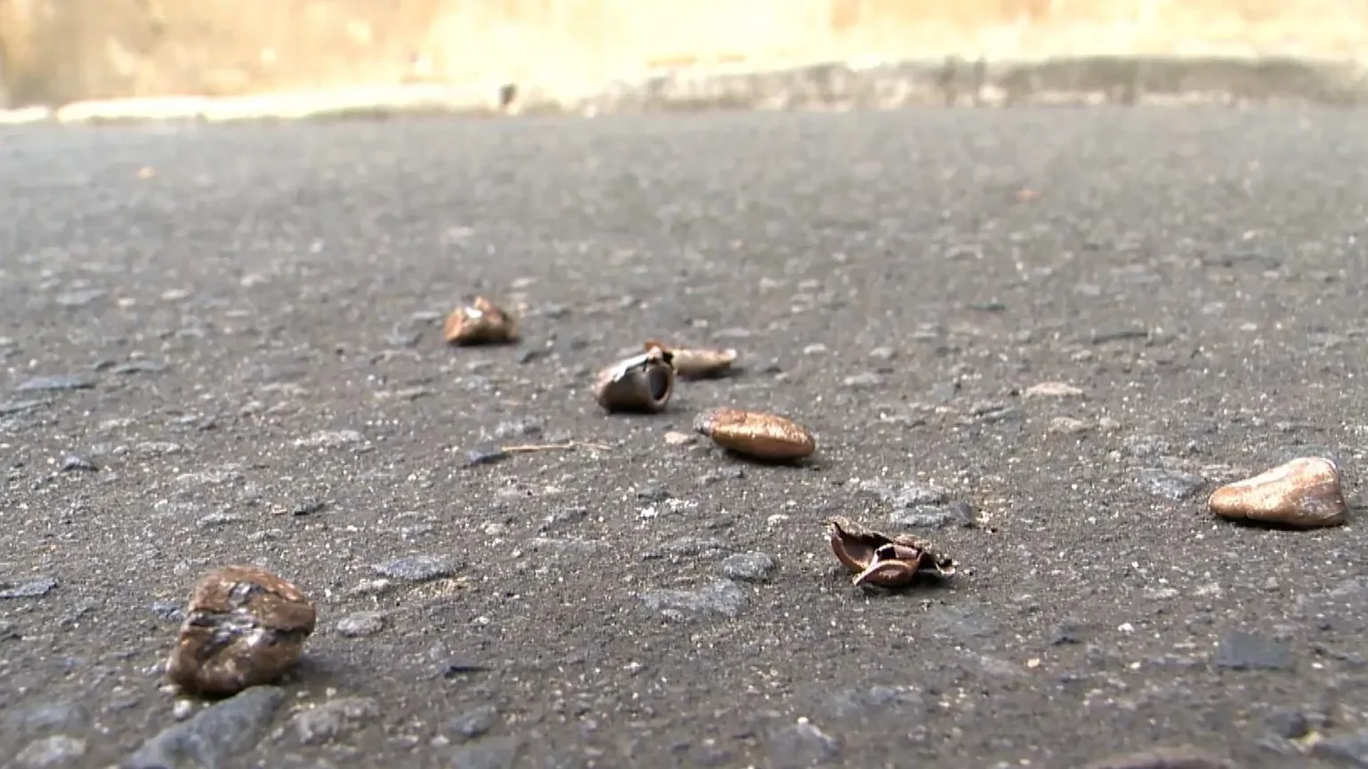 Três Homicídios Marcam Virada de Ano no Vale do Paraíba