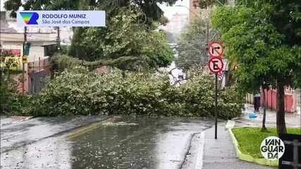 Ventania de 125 km/h Derruba 28 Árvores em São José dos Campos